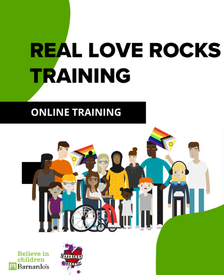 Picture of Level 2 Online Training Pack (free with any other pack)